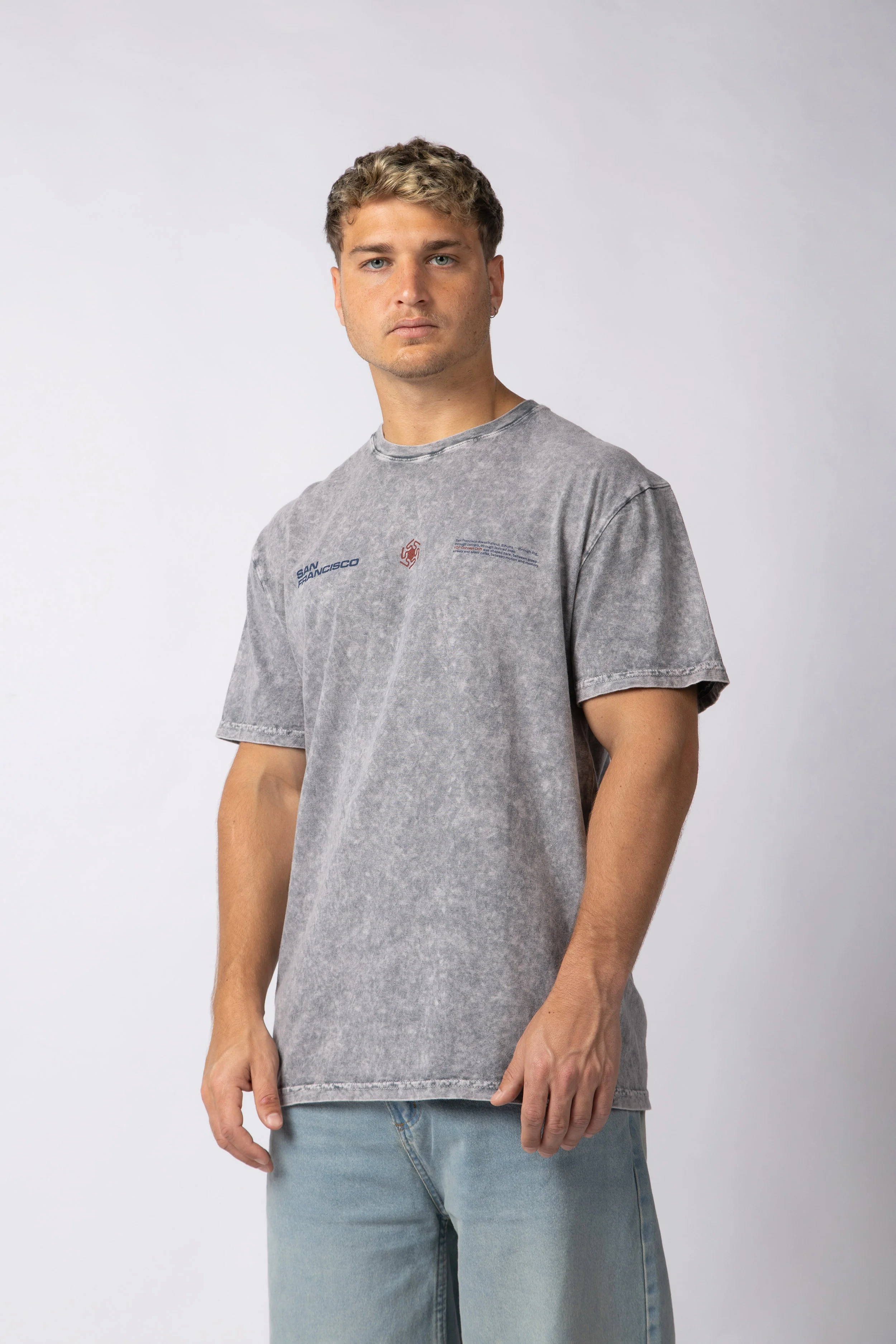 Remera DB Francisco Gris - Image 2