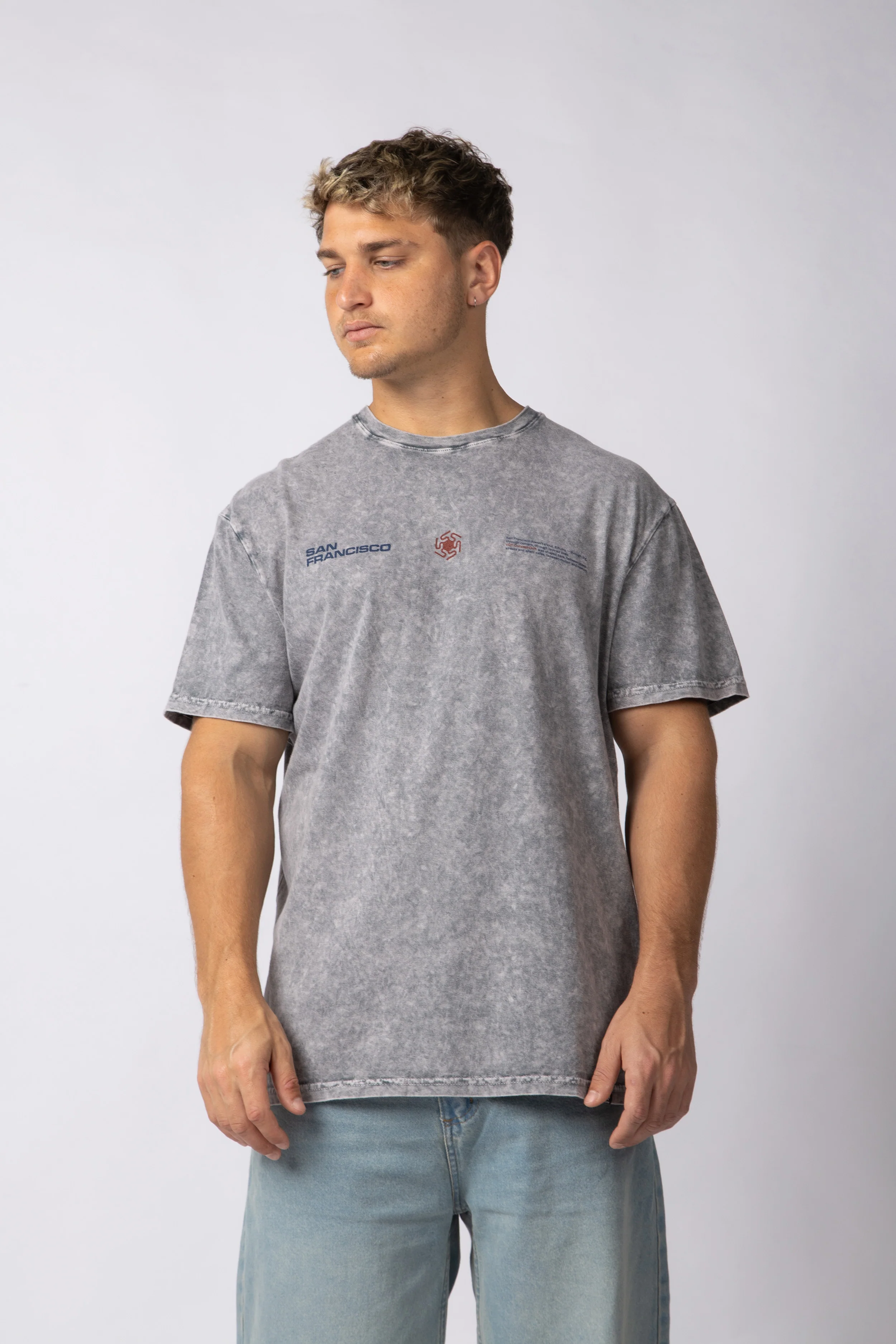 Remera DB Francisco Gris - Image 5