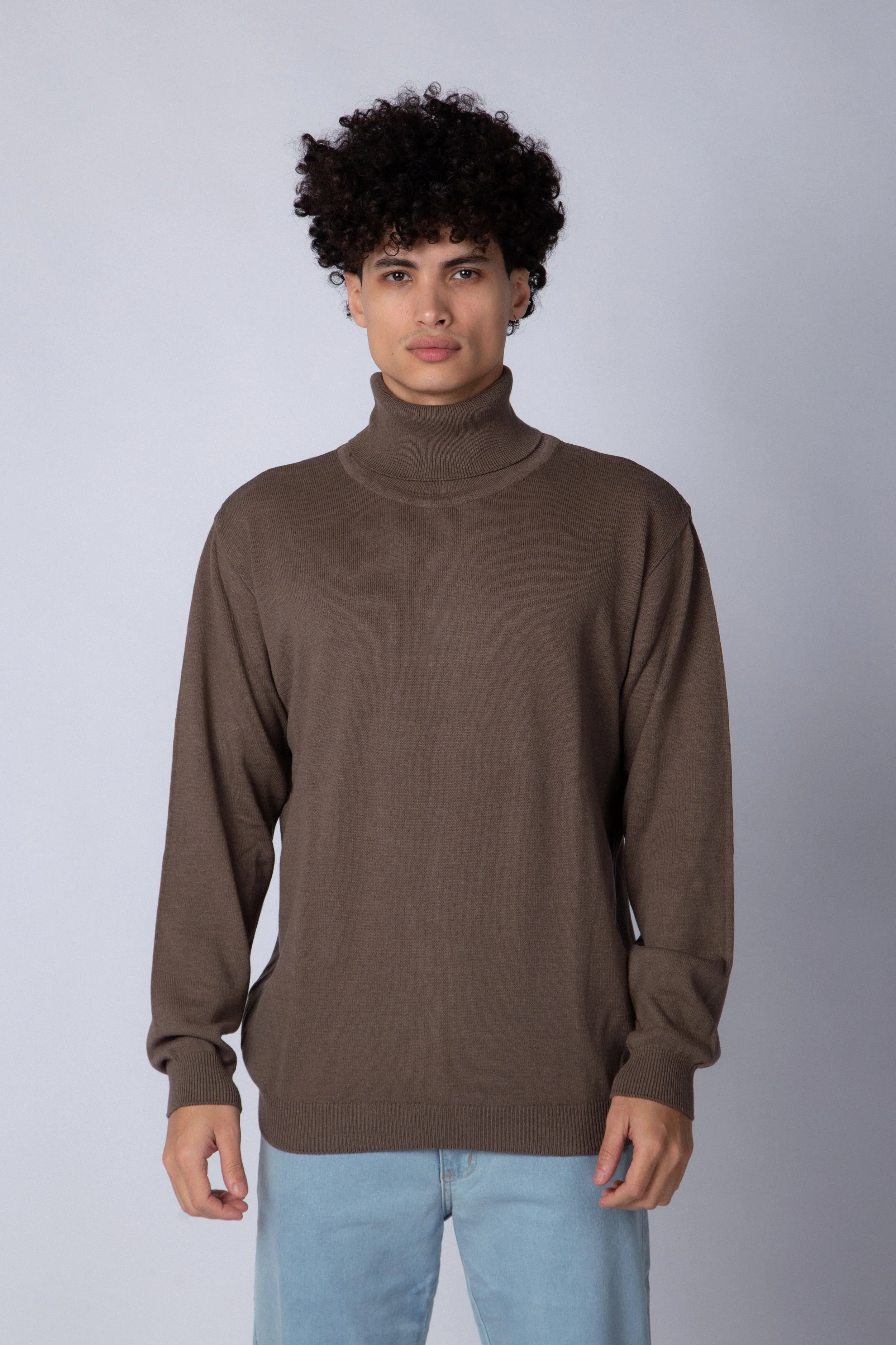 Sweater Polera Paul Vizon